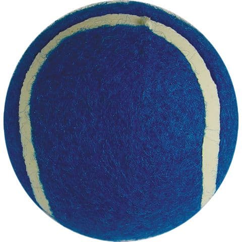 Tennis Type Balls - Pack of 12, Blue