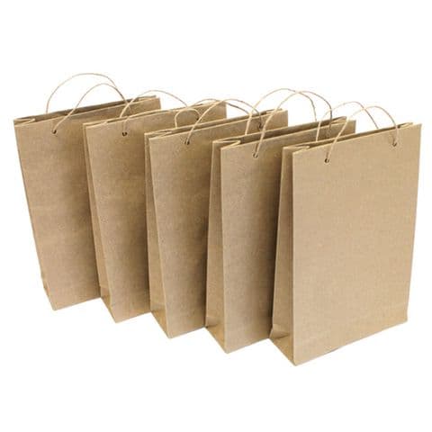 Large Gift Bags - Pack of 5