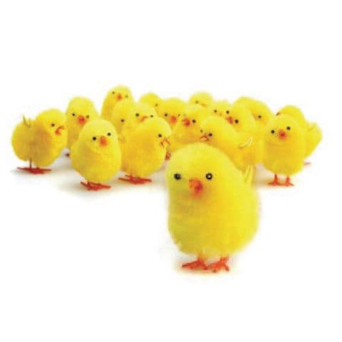 Mini Decorative Chicks - Pack of 36