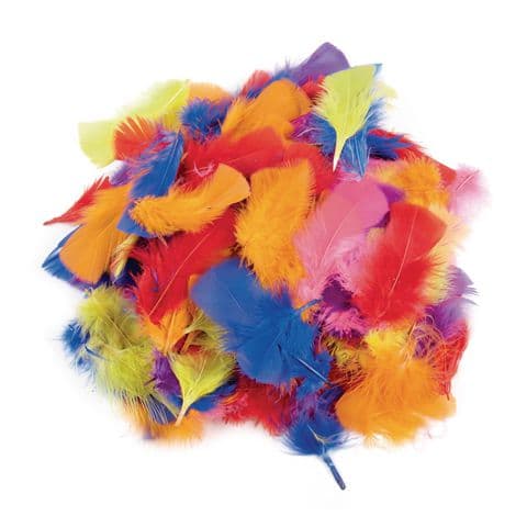 Bright Coloured Feathers - 50g