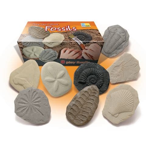 Play and Explore Fossils - Set of 8