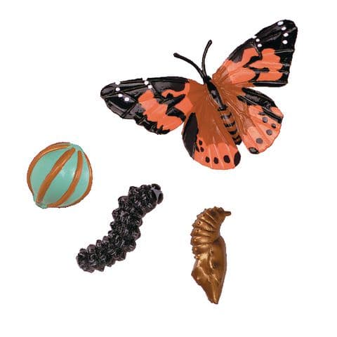 Butterfly Life Cycle Figures