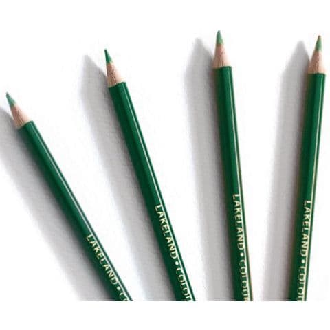 Lakeland Colouring Pencils - Pack of 12 x Dark Green