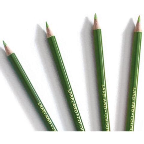 Lakeland Colouring Pencils - Pack of 12 x Light Green