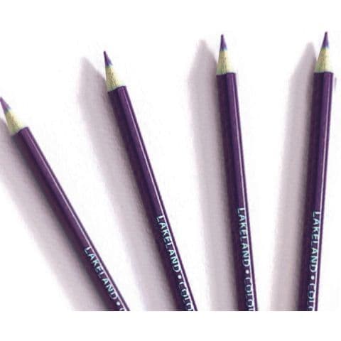 Lakeland Colouring Pencils - Pack of 12 x Purple