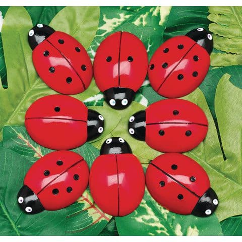 Ladybug Stones - Explore early maths