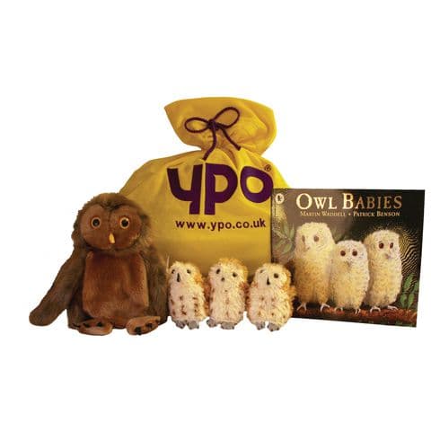 YPO Owl Babies Story Set